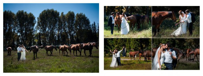 Ψηφιακό άλμπουμ - Ρομαντική φωτογράφηση next day με άλογα στο δάσος