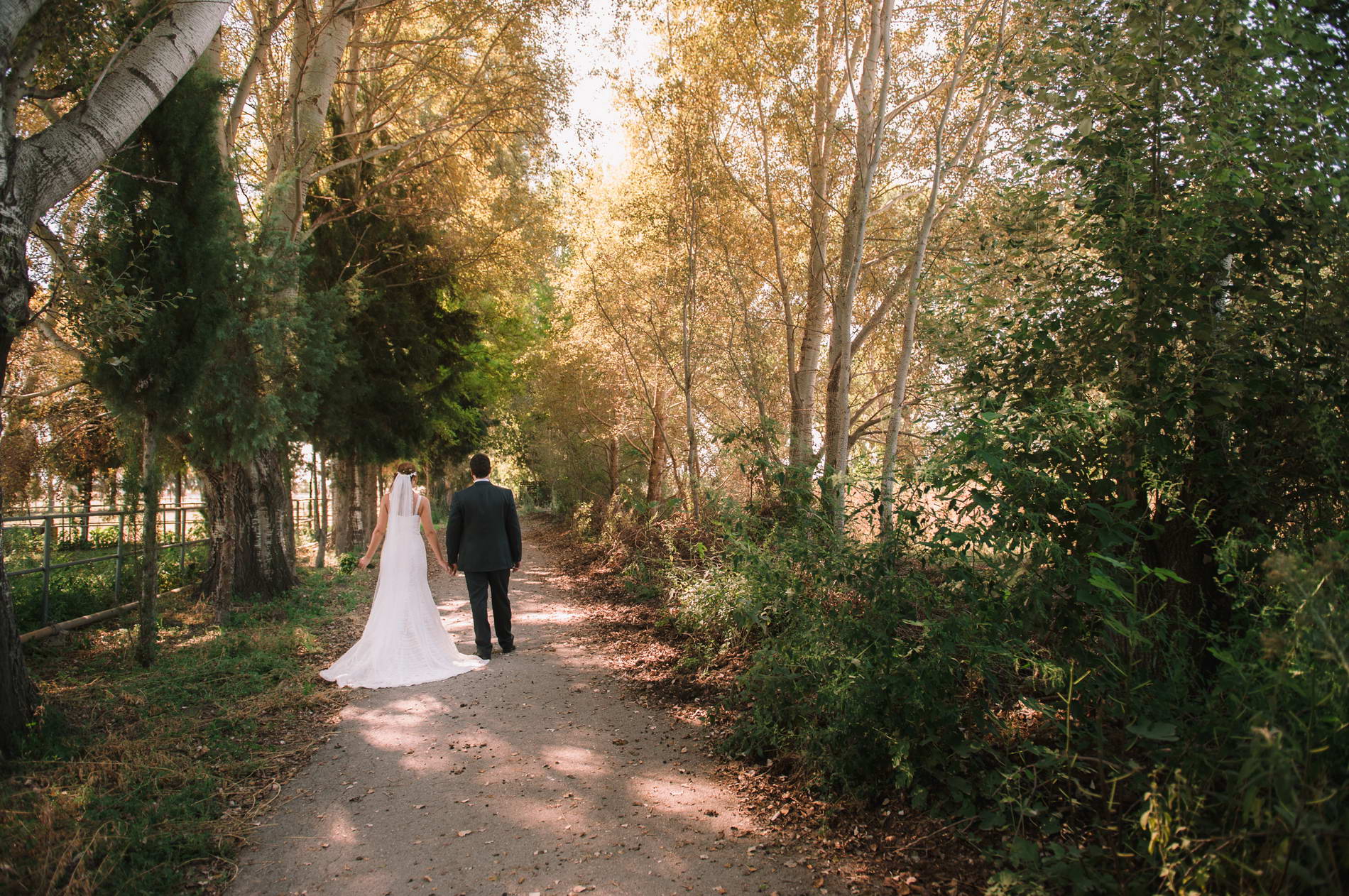 Next day φωτογράφηση γάμου στο δάσος