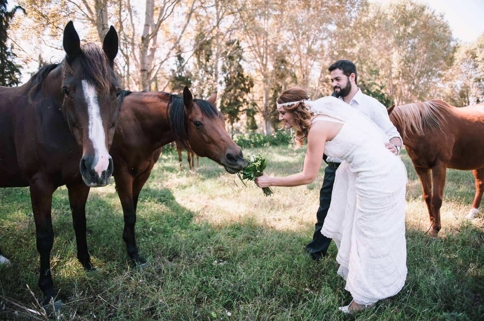 Next day φωτογράφηση γάμου στο δάσος με άλογα