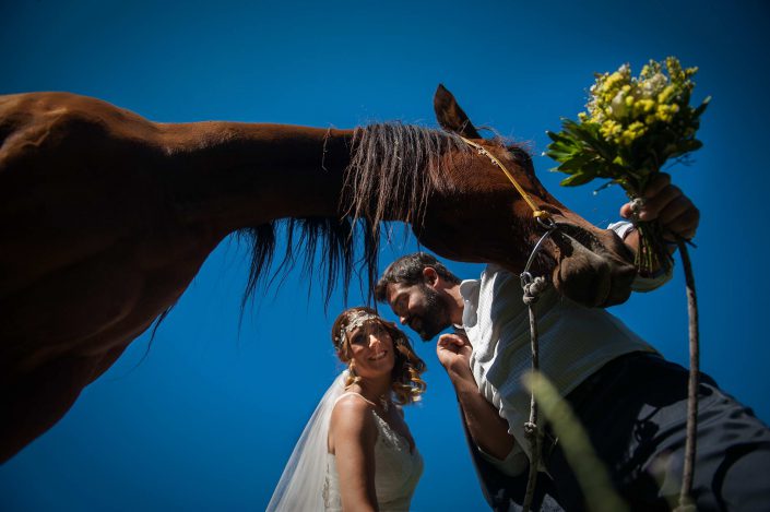 Next day φωτογράφηση γάμου στο δάσος με άλογο