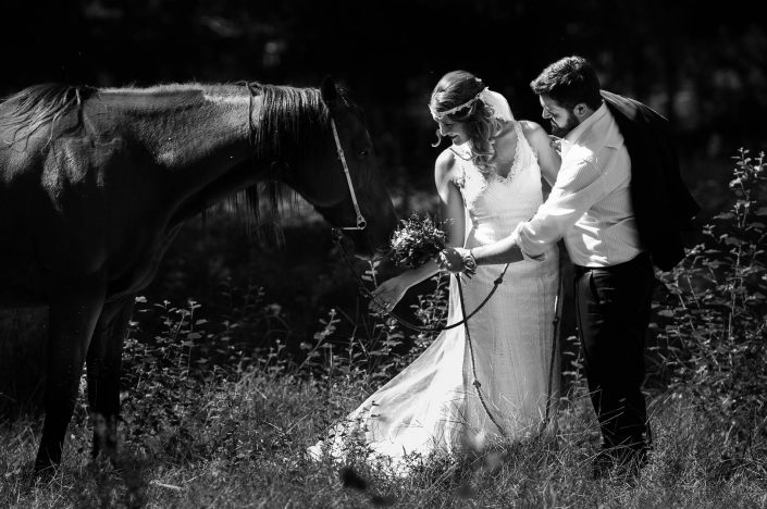 Φωτογράφηση next day γάμου με άλογο ασπρομαυρη